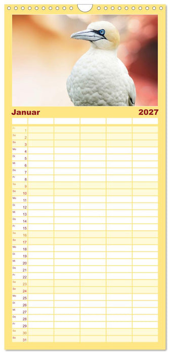 Die bunte Welt der Vögel (CALVENDO Familienplaner 2027)