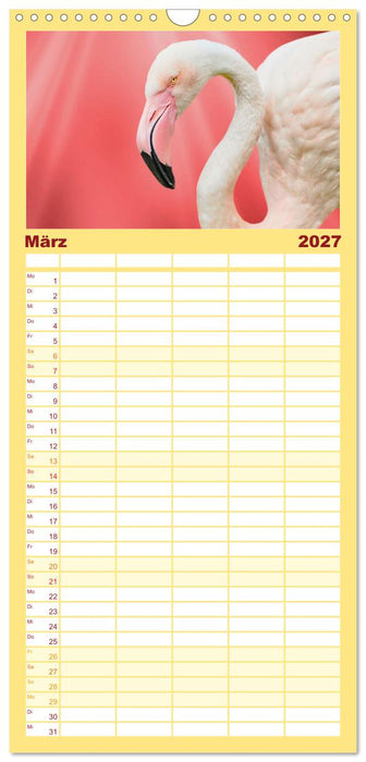 Die bunte Welt der Vögel (CALVENDO Familienplaner 2027)