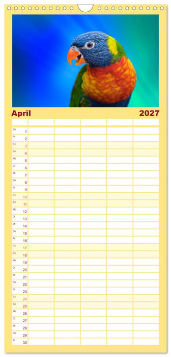 Die bunte Welt der Vögel (CALVENDO Familienplaner 2027)