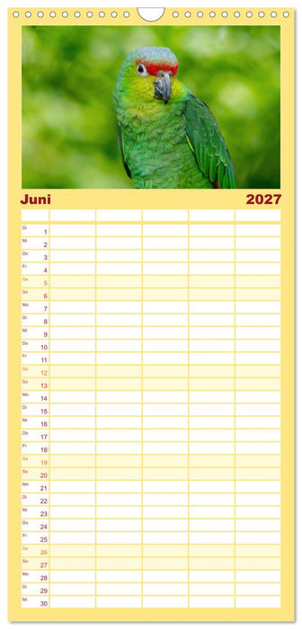 Die bunte Welt der Vögel (CALVENDO Familienplaner 2027)