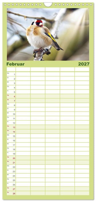 Finkenparade (CALVENDO Familienplaner 2027)
