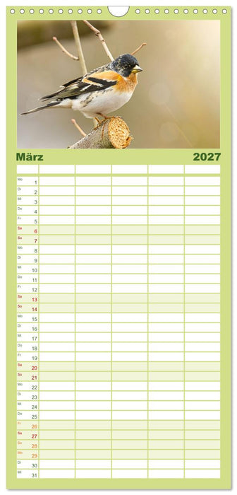 Finkenparade (CALVENDO Familienplaner 2027)