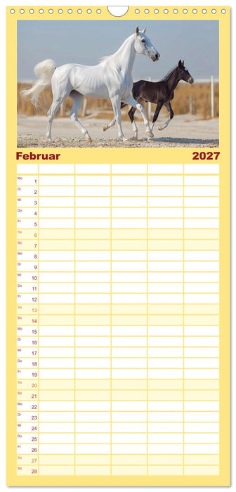 Bezaubernde Eleganz weißer Pferde (CALVENDO Familienplaner 2027)