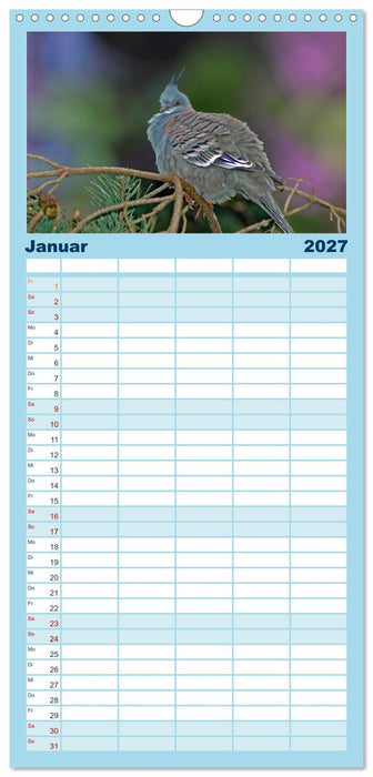 Wer gurrt denn da? (CALVENDO Familienplaner 2027)
