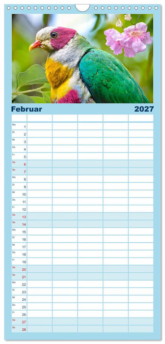 Wer gurrt denn da? (CALVENDO Familienplaner 2027)