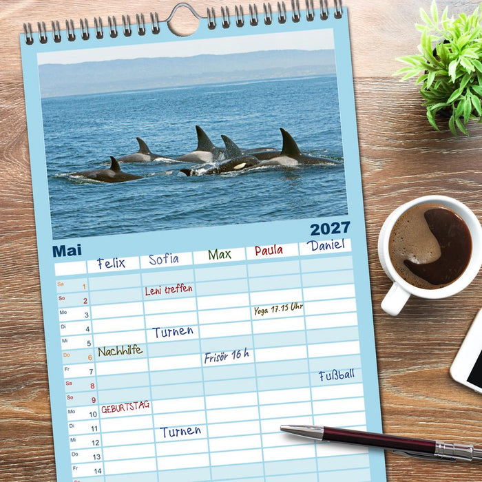 Orcas: Schwarz-weiße Giganten (CALVENDO Familienplaner 2027)