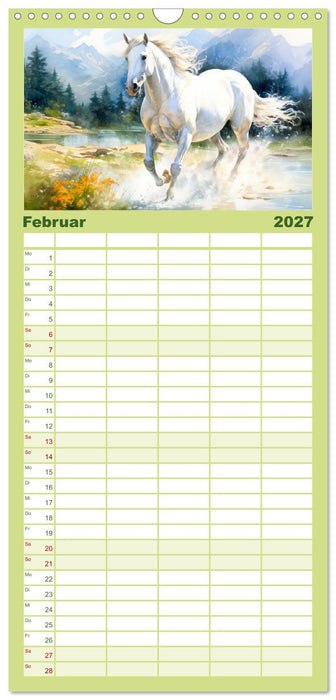 Anmutige Schimmel. Ästhetik Aquarell-Pferde (CALVENDO Familienplaner 2027)