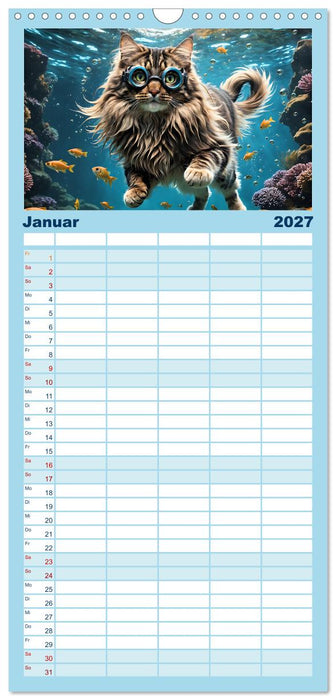 Katzen unter Wasser (CALVENDO Familienplaner 2027)