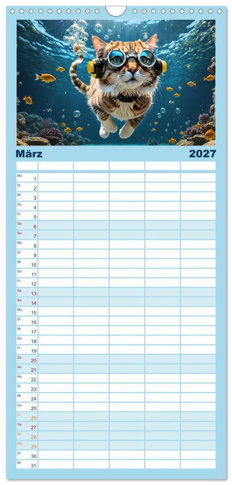 Katzen unter Wasser (CALVENDO Familienplaner 2027)
