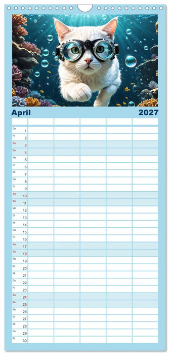 Katzen unter Wasser (CALVENDO Familienplaner 2027)