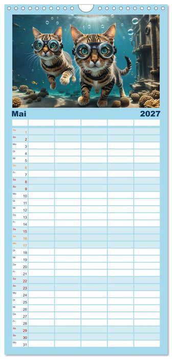 Katzen unter Wasser (CALVENDO Familienplaner 2027)