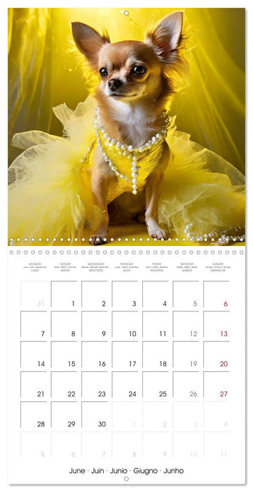 Grand Divas of the Dog World (CALVENDO Monthly Calendar 2027)