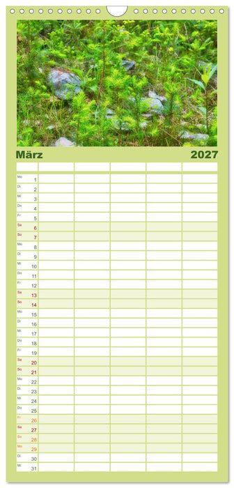 Vielfalt am Waldboden (CALVENDO Familienplaner 2027)