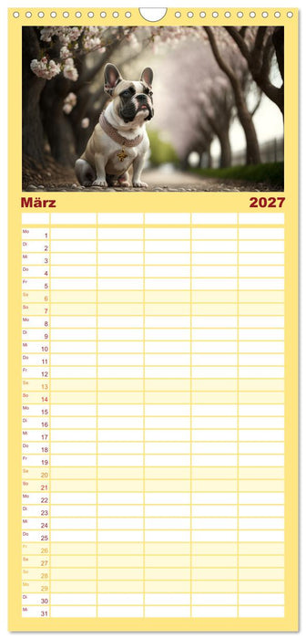 Französische Bulldoggen (CALVENDO Familienplaner 2027)