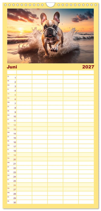 Französische Bulldoggen (CALVENDO Familienplaner 2027)