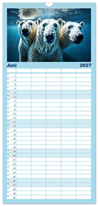 Im magischen Land der Eisbären (CALVENDO Familienplaner 2027)