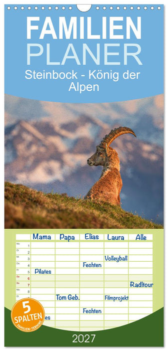 Steinbock - König der Alpen (CALVENDO Familienplaner 2027)