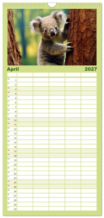 Quer durch die Tierwelt der Erde (CALVENDO Familienplaner 2027)