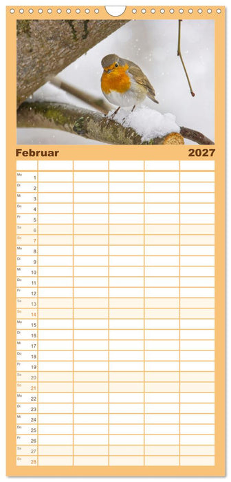 Zauberhafte Rotkehlchen (CALVENDO Familienplaner 2027)