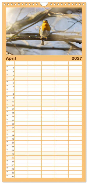 Zauberhafte Rotkehlchen (CALVENDO Familienplaner 2027)