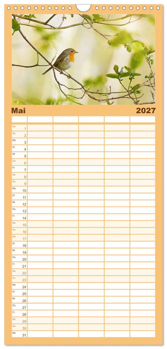Zauberhafte Rotkehlchen (CALVENDO Familienplaner 2027)