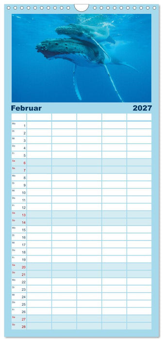 Wale: Giganten der Meere (CALVENDO Familienplaner 2027)