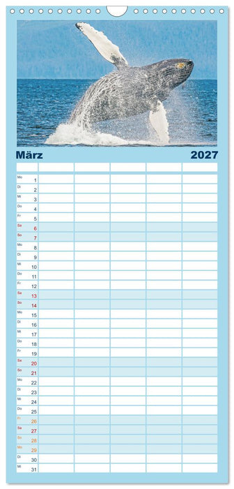 Wale: Giganten der Meere (CALVENDO Familienplaner 2027)