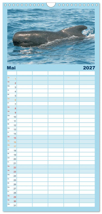 Wale: Giganten der Meere (CALVENDO Familienplaner 2027)