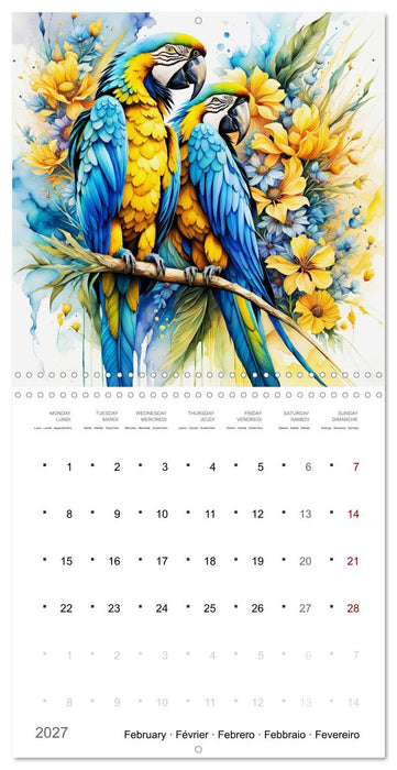 Des perroquets colorés (CALVENDO Calendrier mensuel 2027)