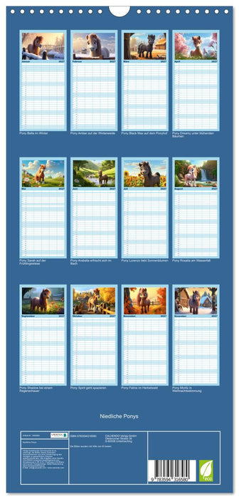 Niedliche Ponys (CALVENDO Familienplaner 2027)