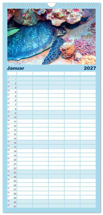 Geheimnisvolle Welt unter Wasser - Nachts am Riff (CALVENDO Familienplaner 2027)