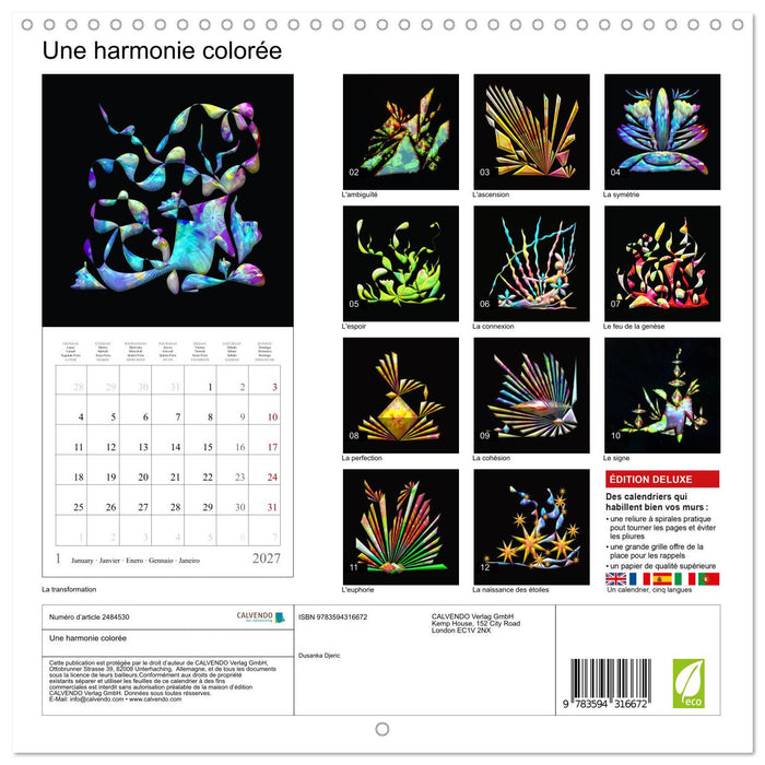 Une harmonie colorée (CALVENDO Calendrier mensuel 2027)