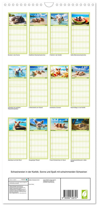 Schweinereien in der Karibik. Sonne und Spaß mit schwimmenden Schweinen (CALVENDO Familienplaner 2027)