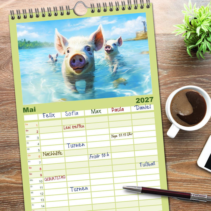 Schweinereien in der Karibik. Sonne und Spaß mit schwimmenden Schweinen (CALVENDO Familienplaner 2027)