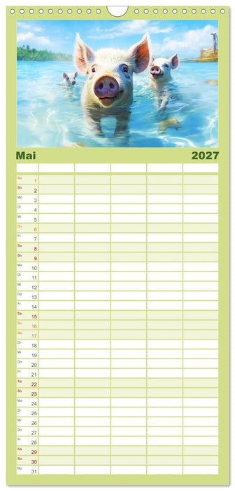 Schweinereien in der Karibik. Sonne und Spaß mit schwimmenden Schweinen (CALVENDO Familienplaner 2027)