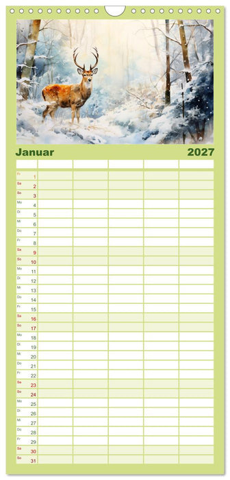 Zwölf Monate im Wald (CALVENDO Familienplaner 2027)
