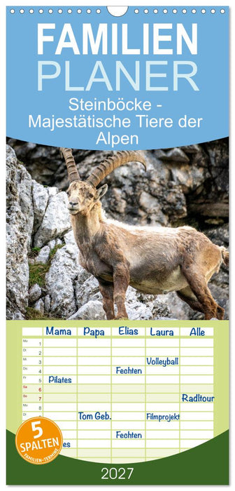 Steinböcke - Majestätische Tiere der Alpen (CALVENDO Familienplaner 2027)