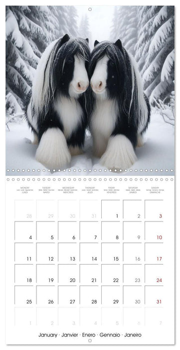 The majestic beauty of Gypsy Vanner (CALVENDO Monthly Calendar 2027)