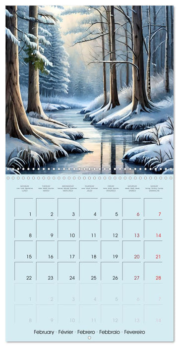 The forest through the seasons (CALVENDO Monthly Calendar 2027)
