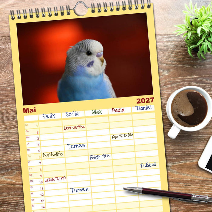 Wellensittichkalender! - Das Original (CALVENDO Familienplaner 2027)