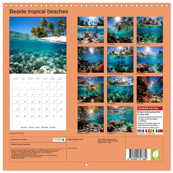 Beside tropical beaches (CALVENDO Monthly Calendar 2027)