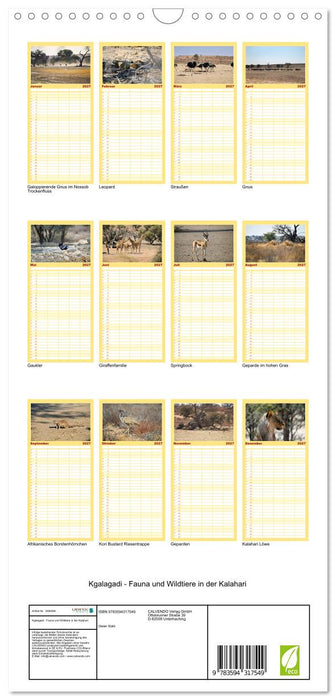 Kgalagadi - Fauna und Wildtiere in der Kalahari (CALVENDO Familienplaner 2027)