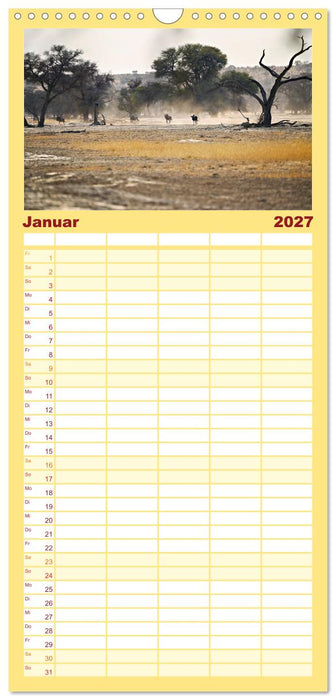 Kgalagadi - Fauna und Wildtiere in der Kalahari (CALVENDO Familienplaner 2027)