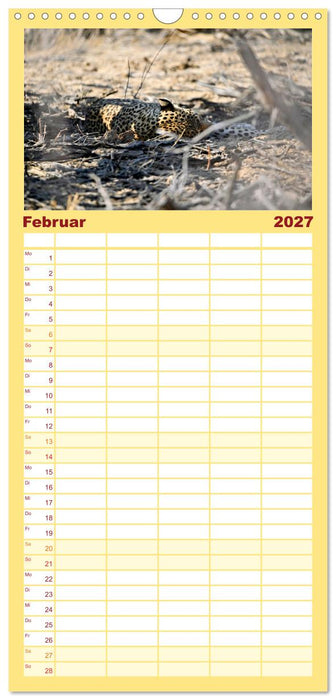 Kgalagadi - Fauna und Wildtiere in der Kalahari (CALVENDO Familienplaner 2027)
