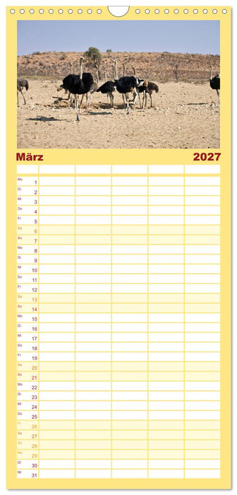 Kgalagadi - Fauna und Wildtiere in der Kalahari (CALVENDO Familienplaner 2027)