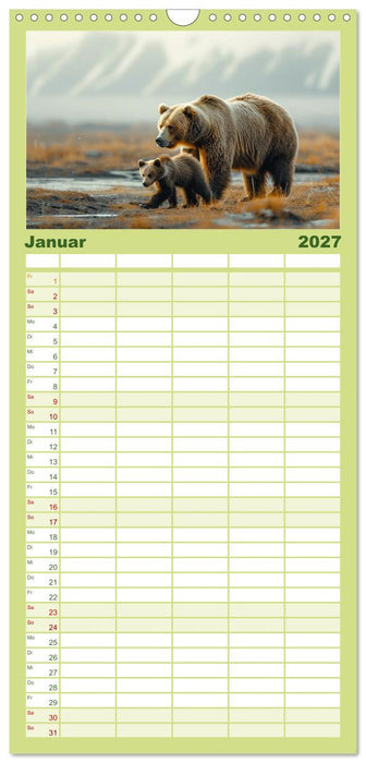 Wildes Bärenland (CALVENDO Familienplaner 2027)