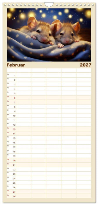 Ein Jahr im Leben von Familie Maus (CALVENDO Familienplaner 2027)