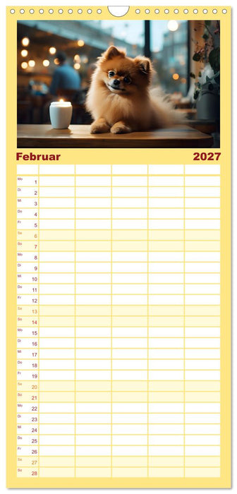 Zwergspitze - kleine Hunde, große Persönlichkeiten (CALVENDO Familienplaner 2027)