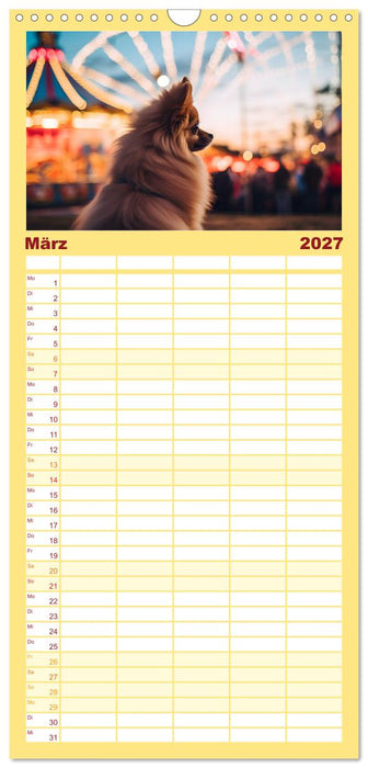 Zwergspitze - kleine Hunde, große Persönlichkeiten (CALVENDO Familienplaner 2027)