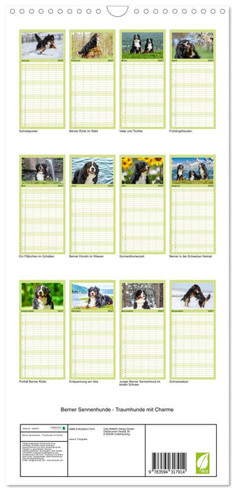 Berner Sennenhunde - Traumhunde mit Charme (CALVENDO Familienplaner 2027)